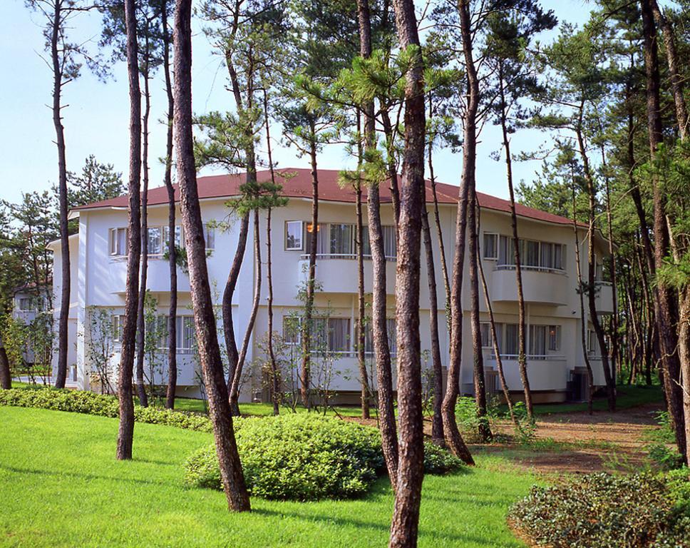 Cottage Himuka Miyazaki Oda fotoğraf