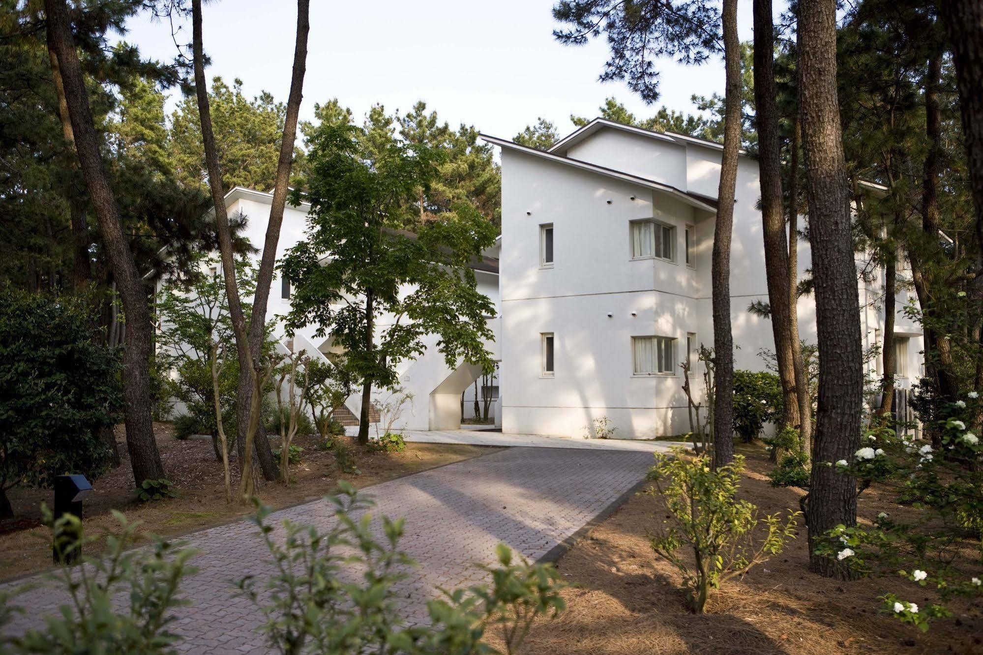 Cottage Himuka Miyazaki Dış mekan fotoğraf